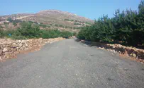 נפסלה הכרזת אדמות מדינה בבנימין