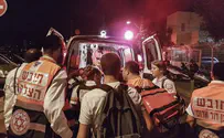 Palestinians celebrate Tel Aviv attack