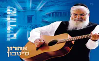 חוזר עם תשובה - ביקורת דיסק