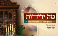 השבוע במקום הראשון: זאנוויל שר כצל'ה