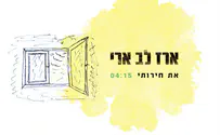 ארז לב ארי בסינגל חדש: "את חירותי" 