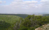 טיול גלילי: שתולה שלא הכרתם