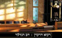 דב הנדלר מזמין אתכם ל"שלישודעס"