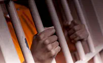 Justice served to animal abuser