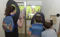 חוות לגידול אצות ומיקרו אצות