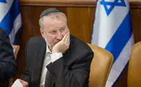 Haredim - a minority?
