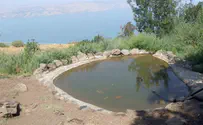 מסלול מעיינות ברמת הגולן