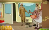 תאונת שרשרת          