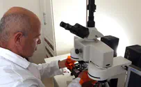 אם התינוקת תמתין לבדיקת רקמות