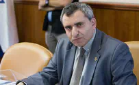«Сионистский лагерь» – радикальная левая партия