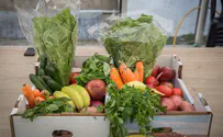 Finance Minister trying to push down vegetable prices