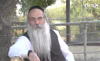 להקדים את התזונה למכה