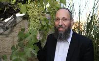 משניות כרימון       
