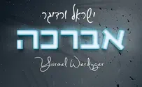 שמחה עם פרופורציות - ביקורת דיסק