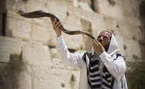 צילום: פלאש 90 דיבור צפוף עם המלך