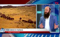 Watch: Insights in Parshat Shoftim