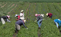Israel signs bilateral agreement to protect foreign workers