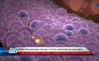 צילום: ILTV Israeli researchers find way to stop cancer metastasis in mice