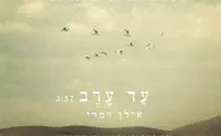 אילן דמרי לקראת השנה החדשה: עד ערב