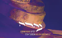 חזון ירמיהו - ביקורת דיסק