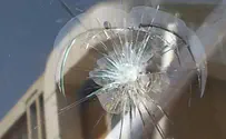 Bedouin 'Price Tag' attacks in Negev