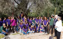 מסיק ראשון בבית הנשיא