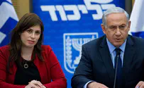 'דו"ח אדמונד לוי הוא הפתרון להכול'