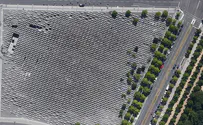 'Berlin Holocaust memorial could not be built today'