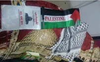 Female terrorist plans attack, gets arrested