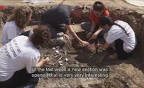 Surprise for high school 'archaeologists'