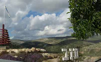 צילום: אילנה קאופמן ענב: מזמינים את כולם