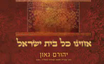יהורם גאון -"אחינו" 