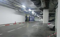 נוסע ומאיץ: תיעוד הדריסה בוולפסון