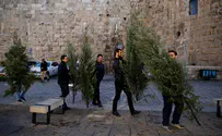 Reuters Jerusalem Municipality provides Christmas trees for Christians