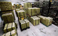 'Win-Win' in IMI privatization deal