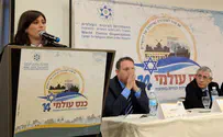 Foreign Ministry Spokesman 'Security Council a catalyst for more Jews in Judea and Samaria'