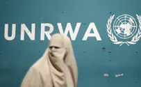 UNRWA through the eyes of a Palestinian refugee