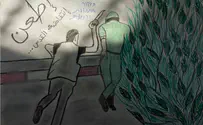 Terror Art exposed
