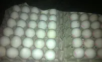 Or Azulai IDF deserter caught smuggling nearly 5,000 illegal eggs