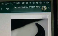 צילום: דוברות המשטרה קבוצת וואטסאפ "לדקור את המנהלת"
