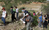 התחזית: שרב ברוב אזורי הארץ
