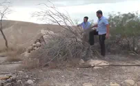 לזכרו של דוד דלארוזה הי"ד
