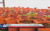 Israel to fund more research of medical marijuana