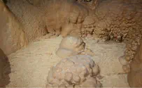 Shay Koren, Parks Authority Spectacular stalagmite cave discovered in Galilee