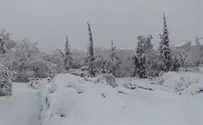 Major blizzard strikes northeastern US