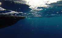 Что сказал Иран про атаку на свой корабль в Красном море