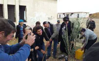 Recalling what pro-active Israel Activism is