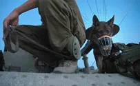 Hamas canine unit revealed, Israeli expert skeptical