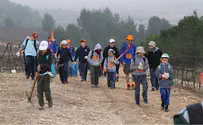 7000 חניכי "עזרא" יצאו לנטיעות