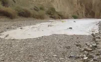 צפו: שיטפון בנחל אוג